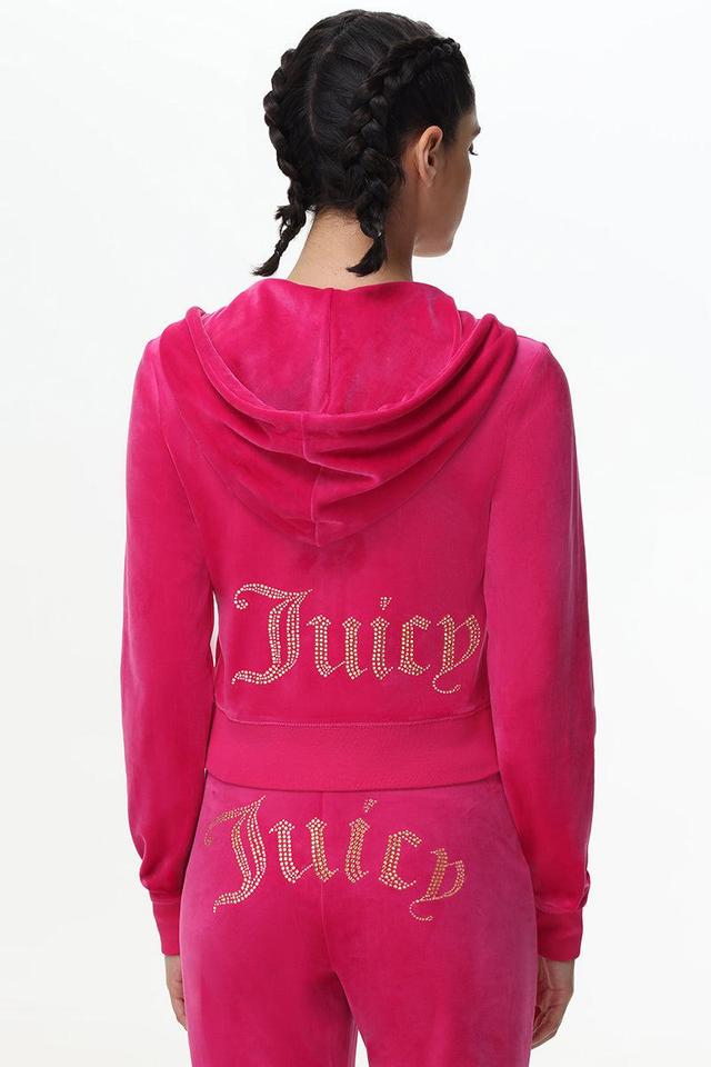 Technicolor Big Bling Velour Hoodie Product Image