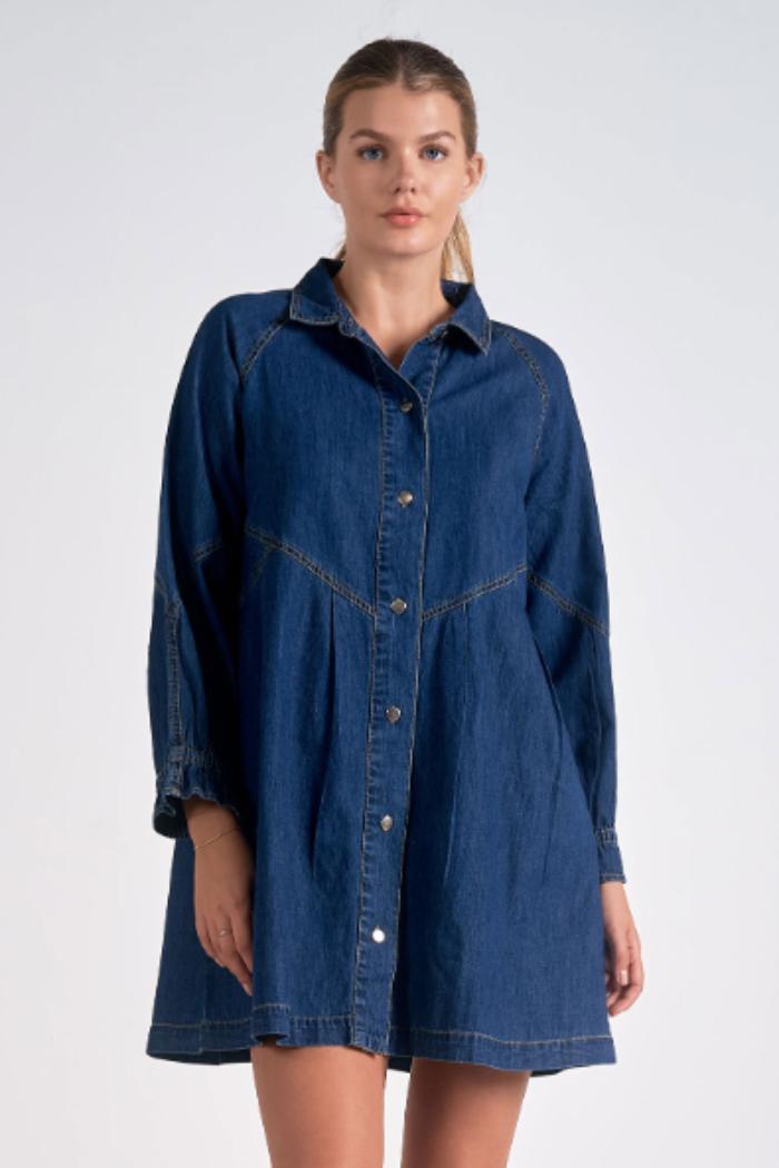 BUTTON DOWN DRESS Product Image