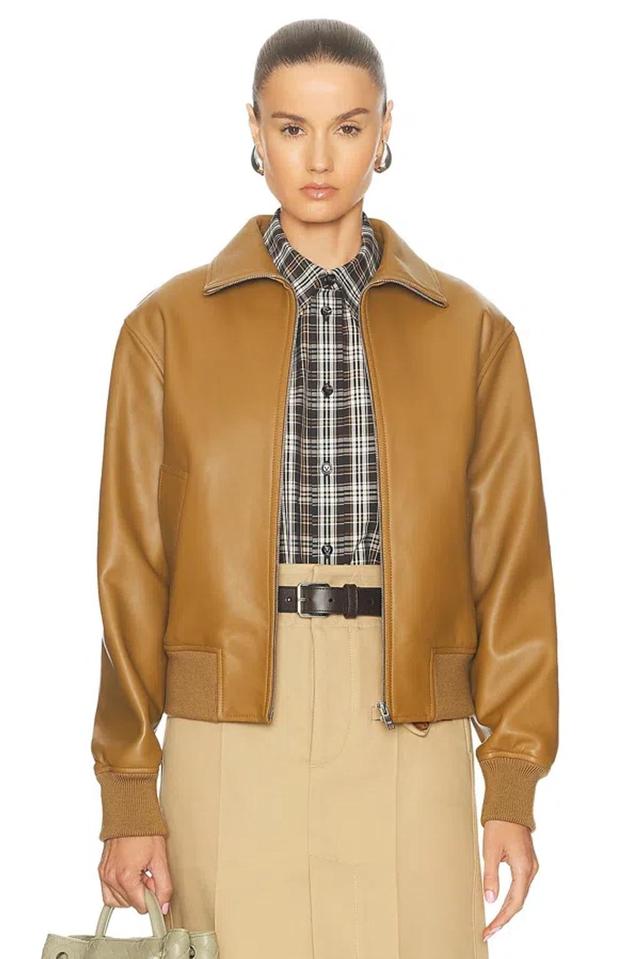 Leather Bomber Jacket In Acorn Product Image