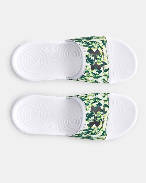 Men's UA Ignite Select Graphic Slides Product Image