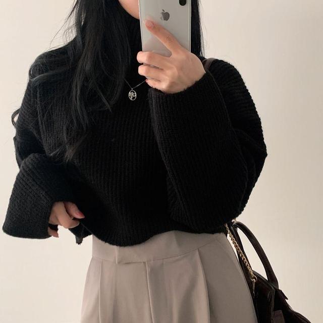 Turtleneck Plain Ribbed Cropped Sweater Product Image