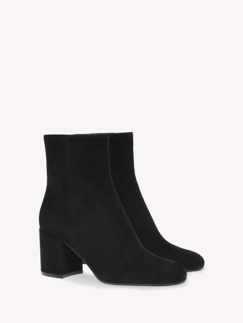 GIANVITO ROSSI Joelle 70 Suede Ankle Boots In Negro Product Image