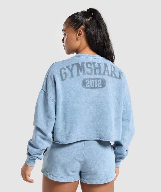 Collegiate Shadow Washed Midi Sweatshirt Product Image