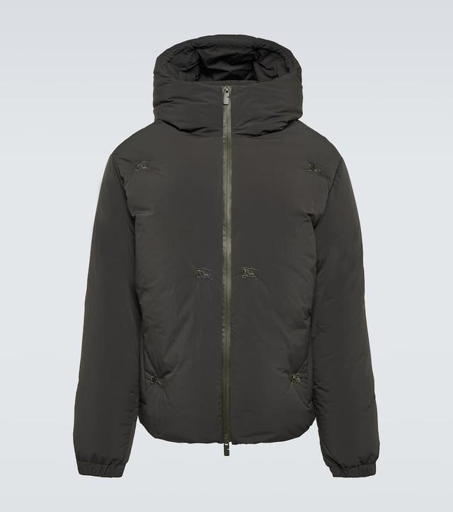 BURBERRY Hooded Down Jacket In Green Product Image