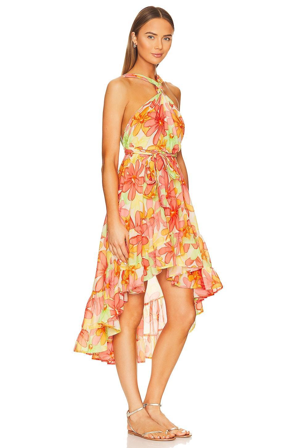 Celeste Dress Sundress Product Image