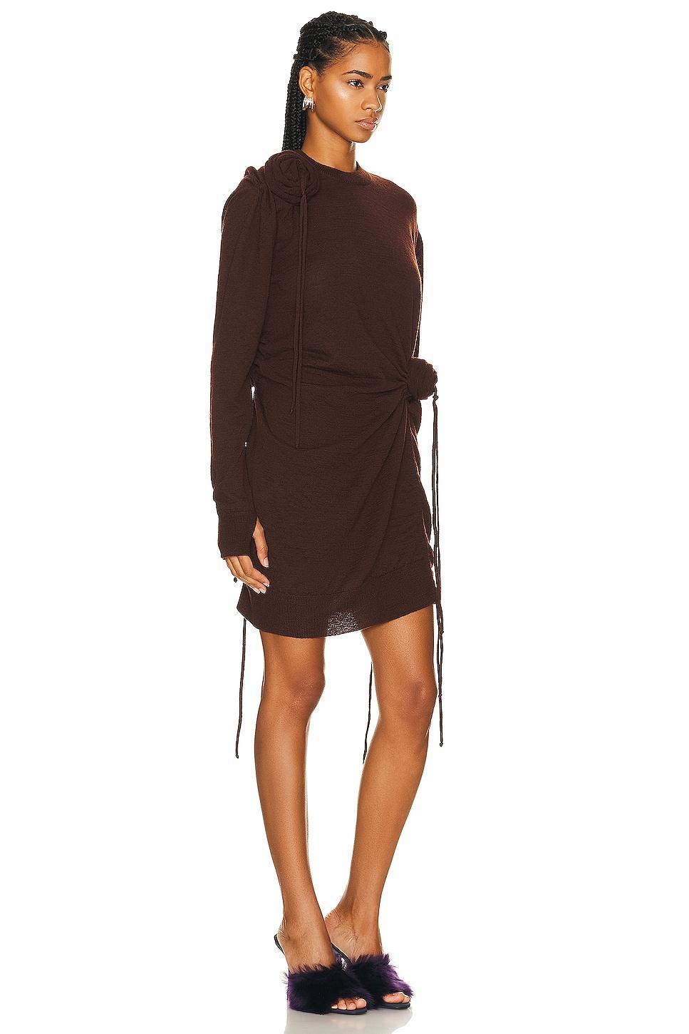 Burberry Draped Long Sleeve Dress in Brown Product Image