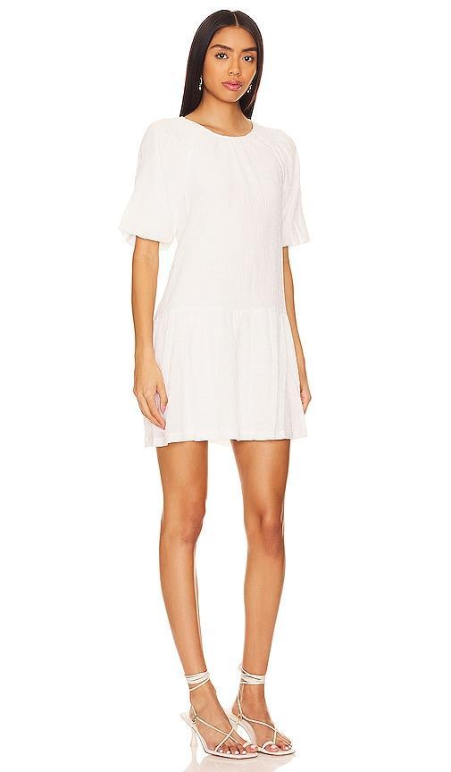 Steve Madden Abrah Minidress Product Image