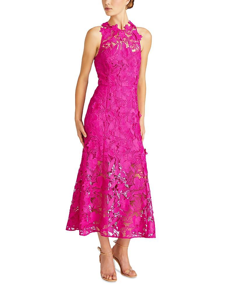 Colette Floral Lace Halter Midi Dress Product Image