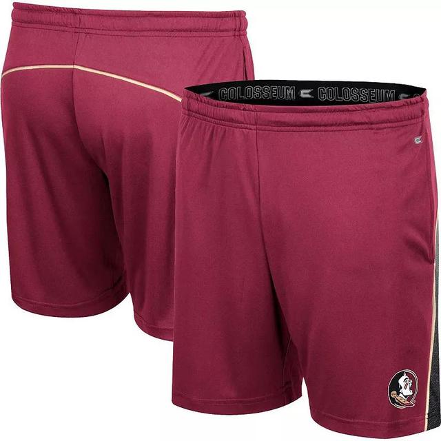 Mens Colosseum Garnet Florida State Seminoles Laws of Physics Shorts Product Image