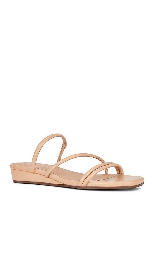 Rock Candy Sandal Product Image