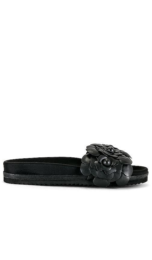 Fleur Slide Sandal Product Image