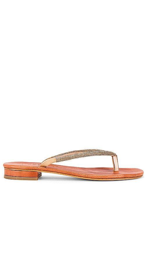 Pogliano Sandal Product Image