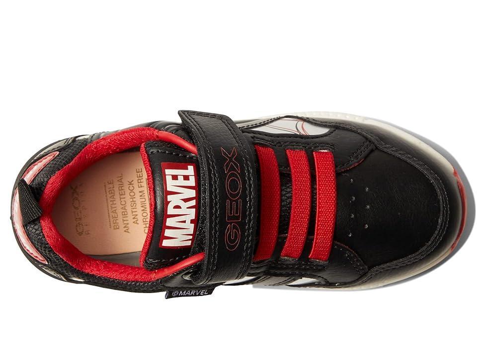 Columbia Trailstorm Sandal (Cordovan/Black) Men's Shoes Product Image