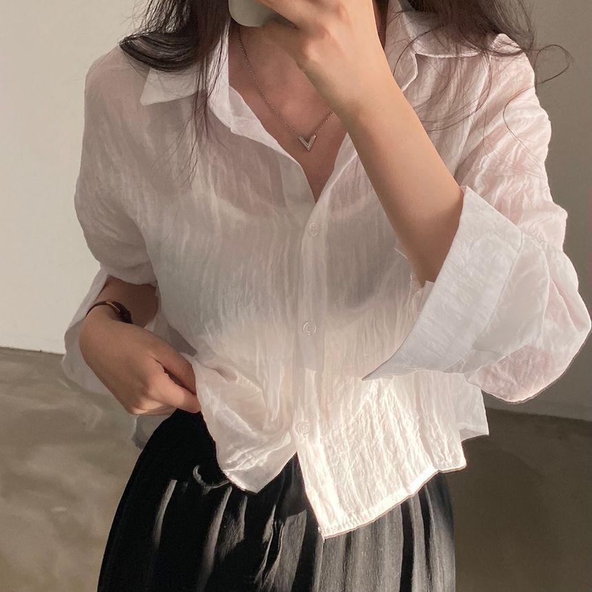 Long-Sleeve Sheer Cropped Shirt Product Image