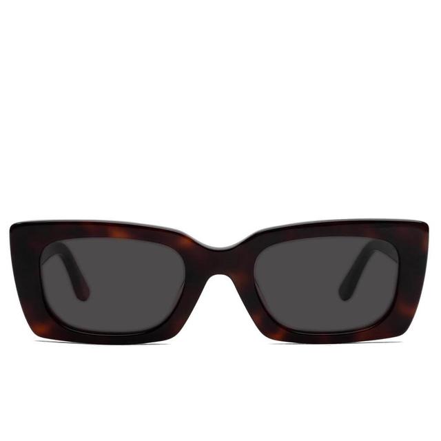 Wilson Sunglasses - Havana Male Product Image