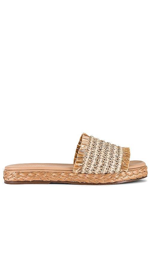 Conchal Sandal Product Image