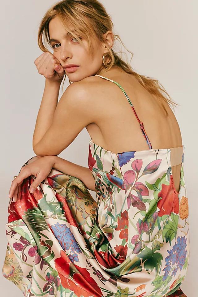 Botanical Maxi Dress Product Image