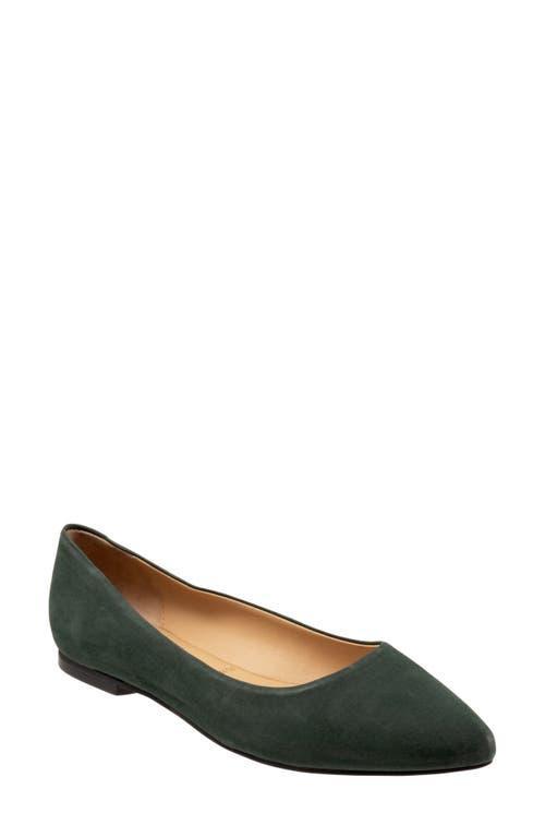 Trotters Estee Ballet Flat Product Image