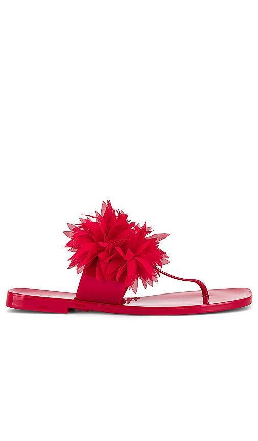 Jeffrey Campbell Pollinate Sandal in Red. - size 9 (also in 6, 7, 8) Product Image