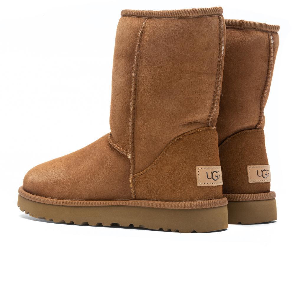 Women's Classic Short II Boot - Chestnut Female Product Image