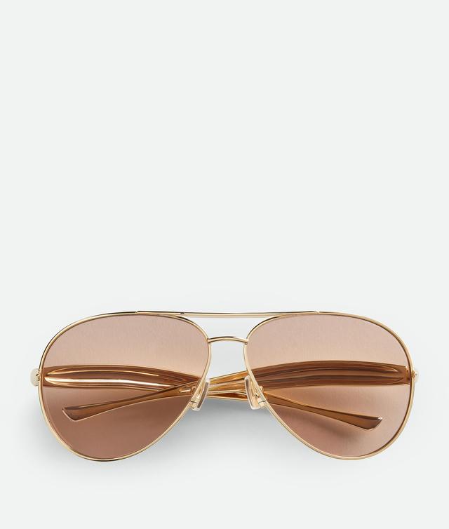 Sardine Aviator Sunglasses Product Image