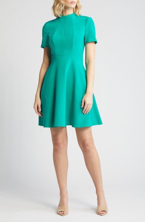 Womens Mayra Fit & Flare Dress Product Image