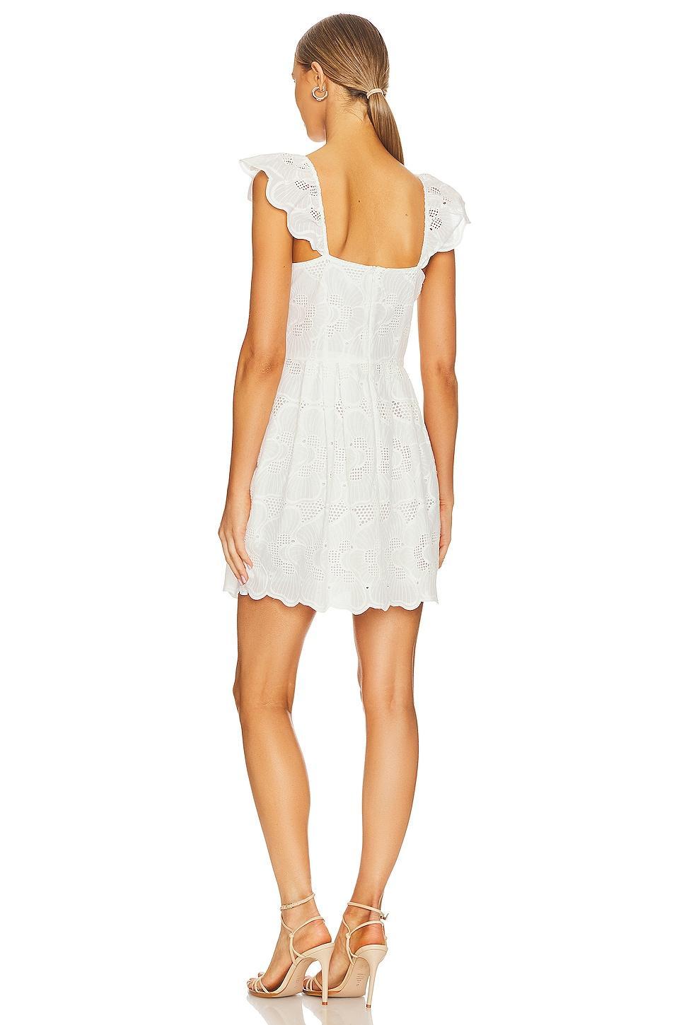 Sierra Dress Steve Madden Product Image