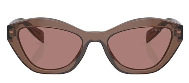 Sunglasses In Brown Product Image