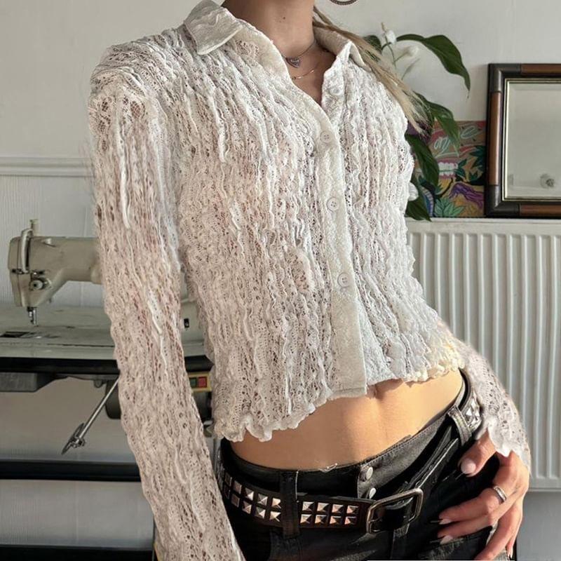 Long-Sleeve Lace Crop Shirt product image