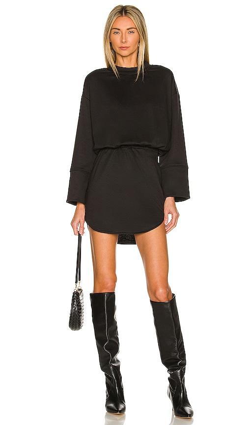 Lana Sweatshirt Dress Product Image