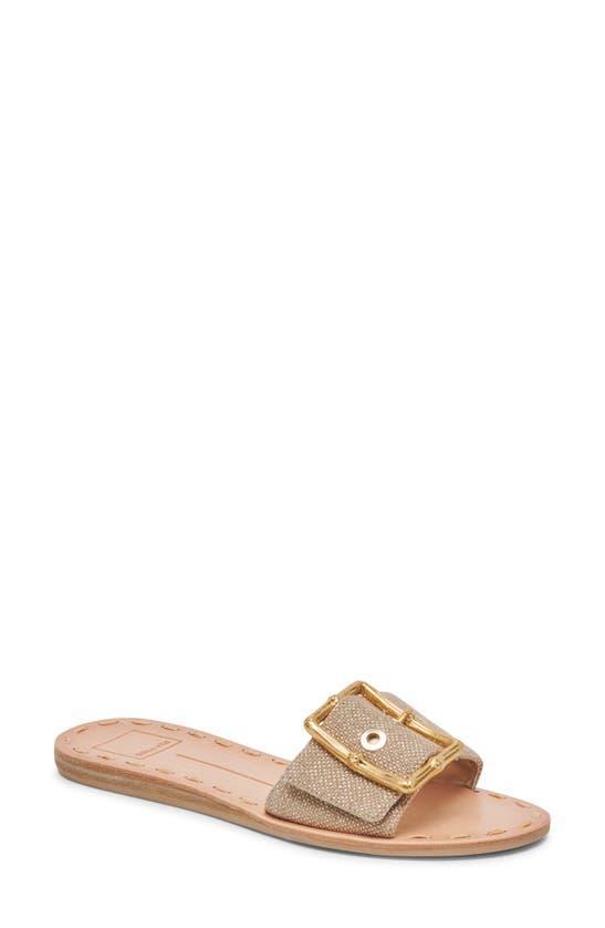 DOLCE VITA Dasa Slide Sandal In Multi Product Image