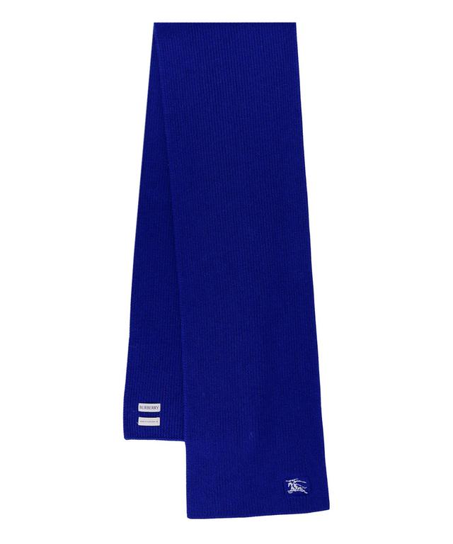 Cashmere Scarf In Blue Product Image