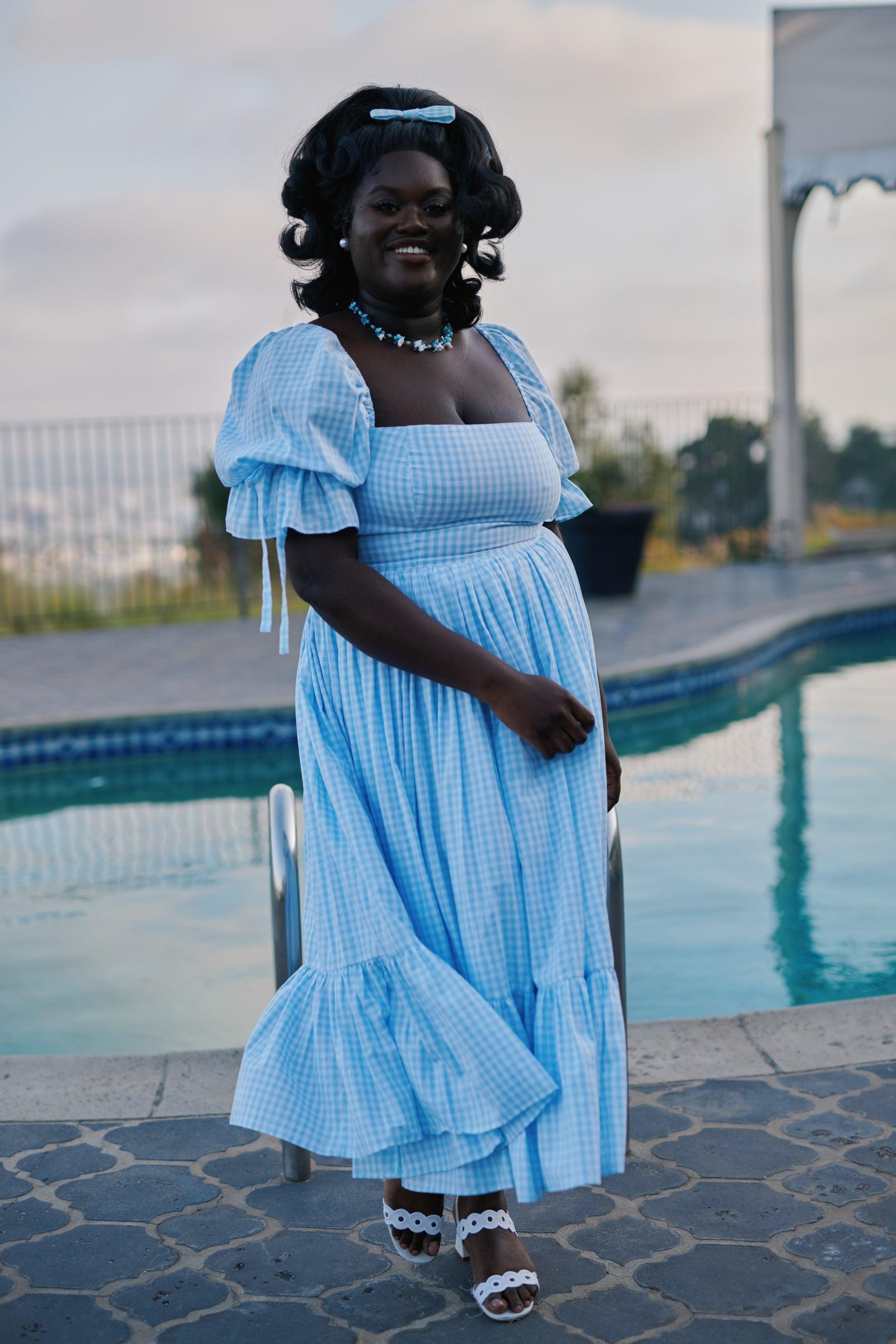 The Blue Gingham Market Dress Product Image