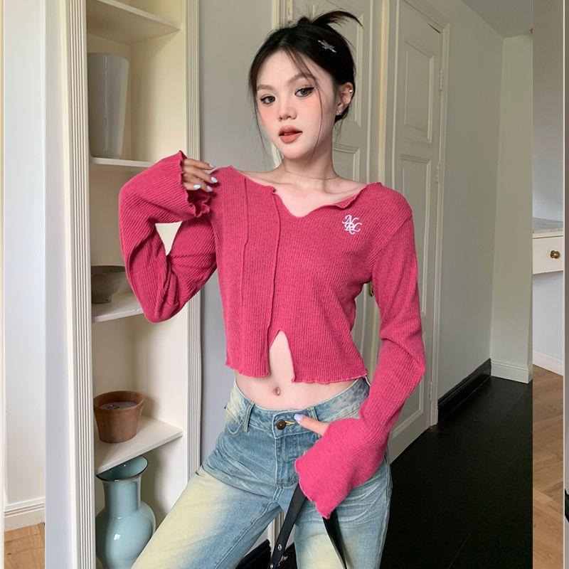 Long-Sleeve V-Neck Embroidered Crop Knit Top Product Image