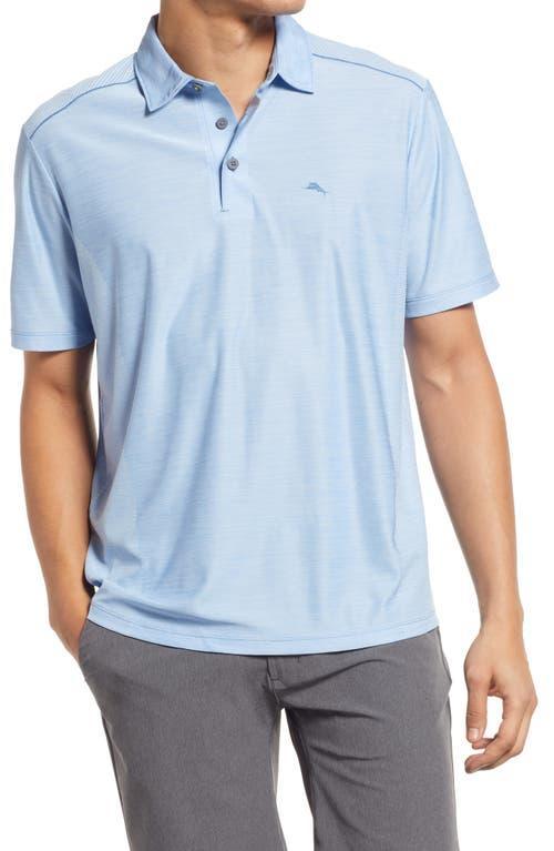 Tommy Bahama Palm Coast Classic Fit Polo Product Image