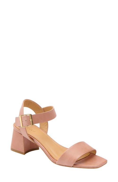 Nisolo Ankle Strap Sandal Product Image