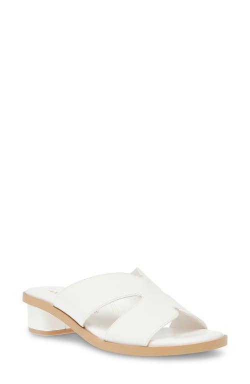 Anne Klein Timmy Slide Sandal Product Image