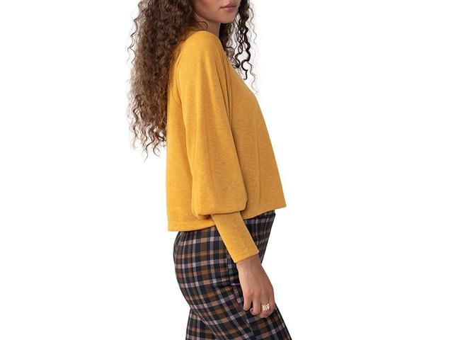 Sanctuary High Hopes Knit Top (Toasted Oats) Women's Clothing Product Image