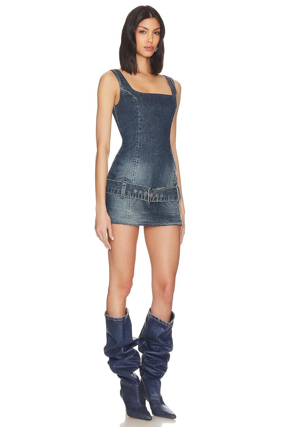 Firefly Dress EB Denim Product Image