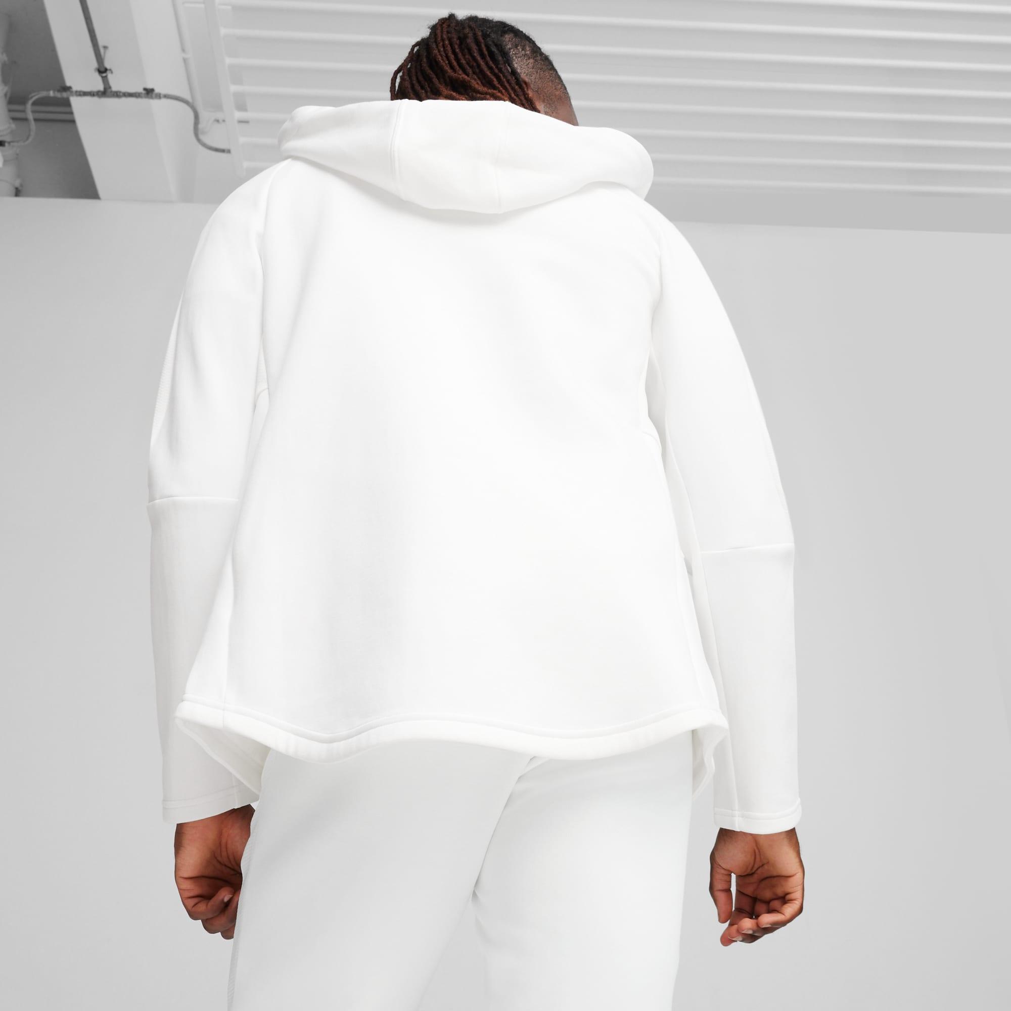 EVOSTRIPE Full-Zip Men's Hoodie Product Image