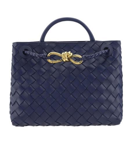 BOTTEGA VENETA Small Andiamo Shoulder Bag In Duke Product Image