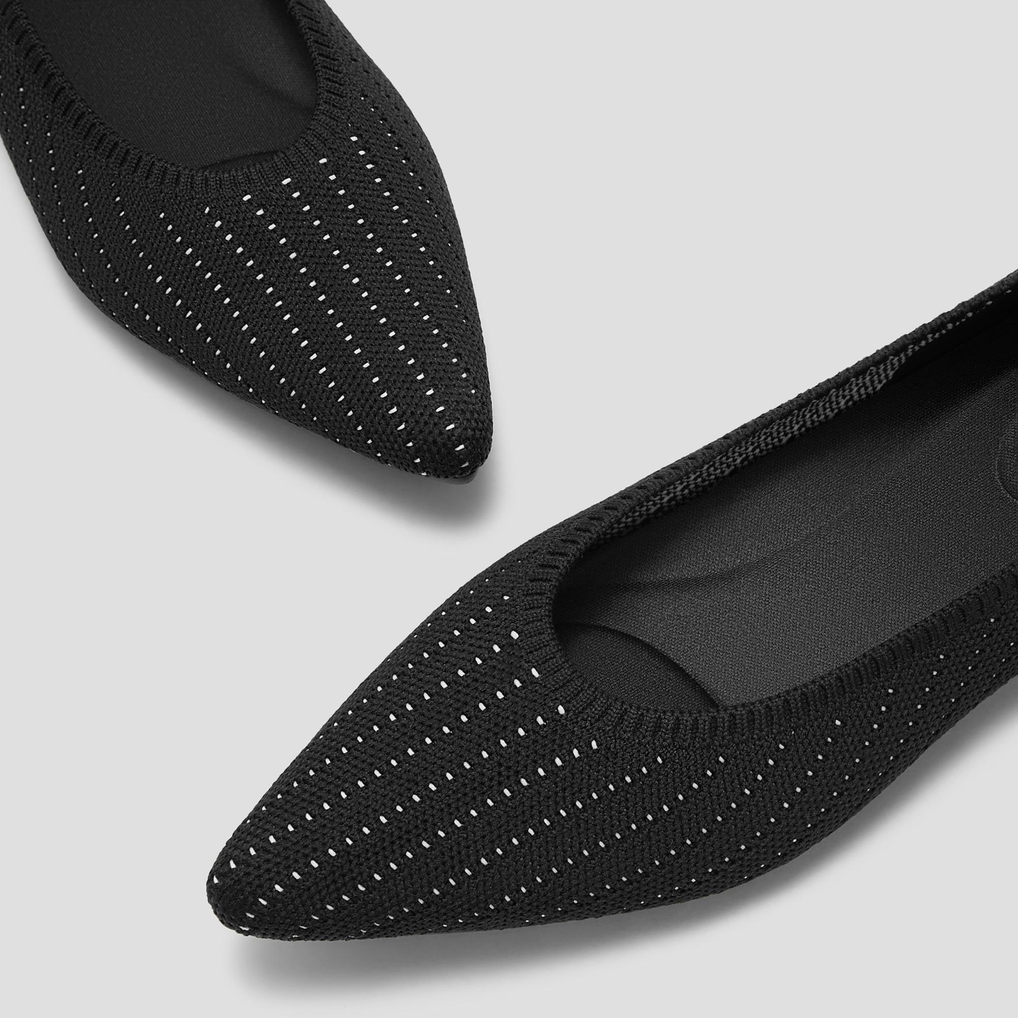 Pointed-Toe Ballet Flats (Aria 5°) Product Image