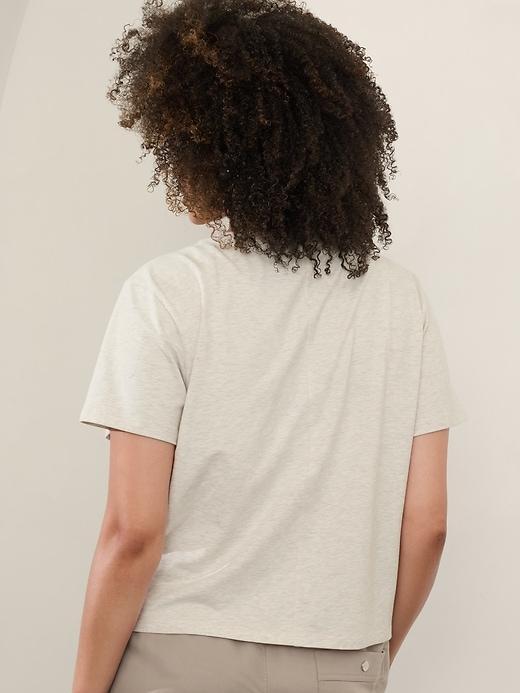 Essential V-Neck Tee Product Image