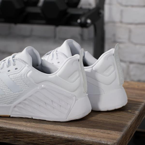 Dropset 3 strength training shoes Product Image