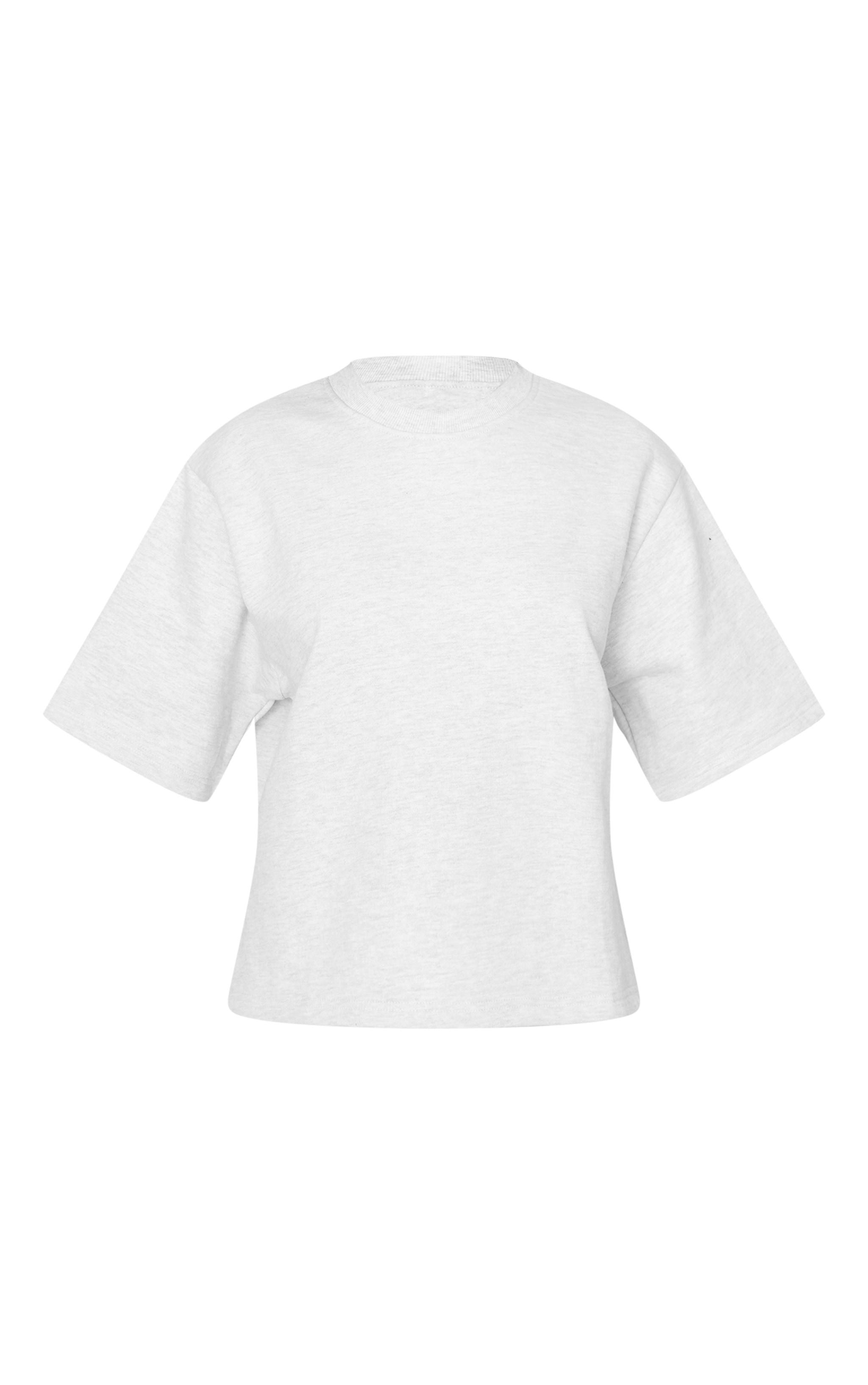 Petite Oatmeal Premium Fleeceback Oversized Short Sleeve Sweatshirt Product Image