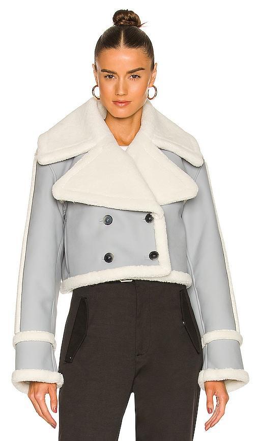 L'Academie Elijah Jacket in Grey. Product Image