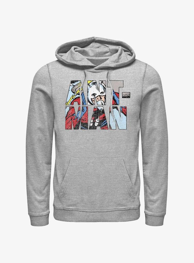 Marvel Ant-Man Namesake Logo Hoodie Product Image