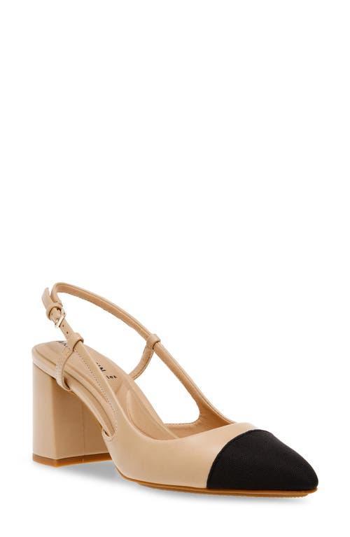 Anne Klein Brinlee Pointed Toe Pump Product Image