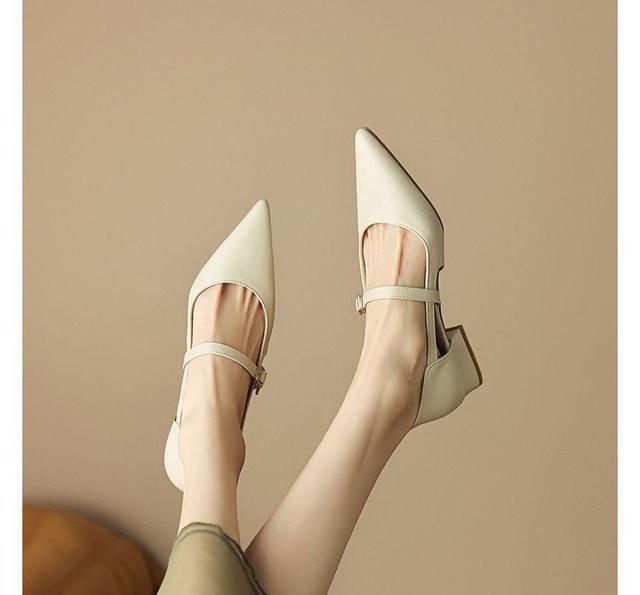 Pointed Toe Cutout Mary Jane Shoes Product Image