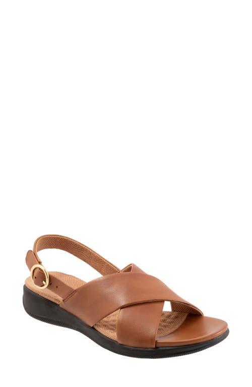 SoftWalk Tillman Slingback Sandal Product Image